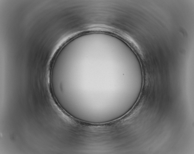 X0000111211376200907011042
