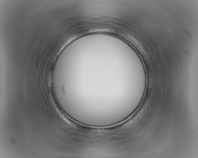 X0000111211377200907011042