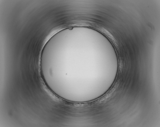 X0000111211378200907011042