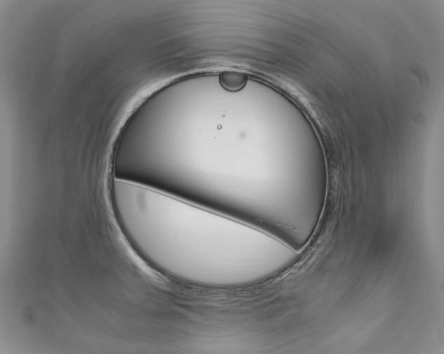 X0000111211379200907011042