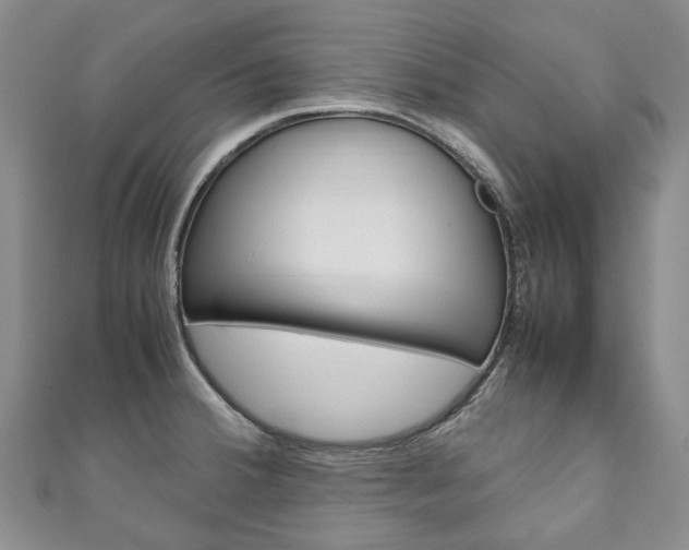 X0000111211380200907011042