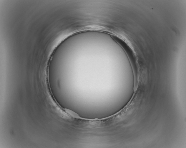 X0000111211381200907011042