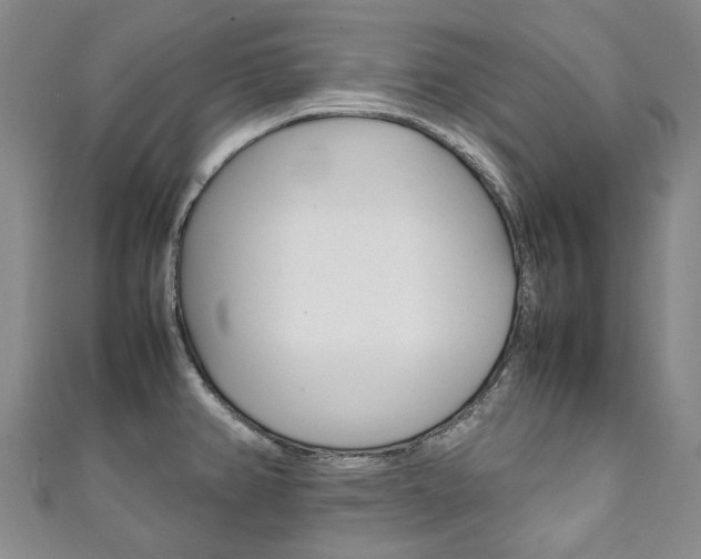 X0000111211382200907011042