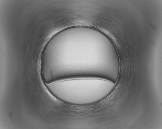 X0000111211383200907011042