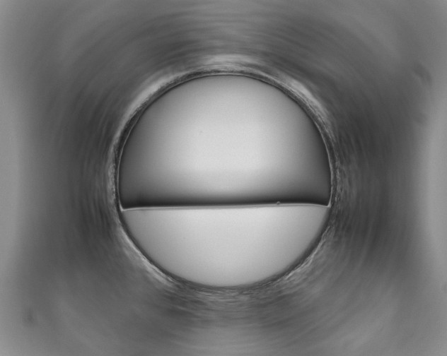 X0000111211384200907011042