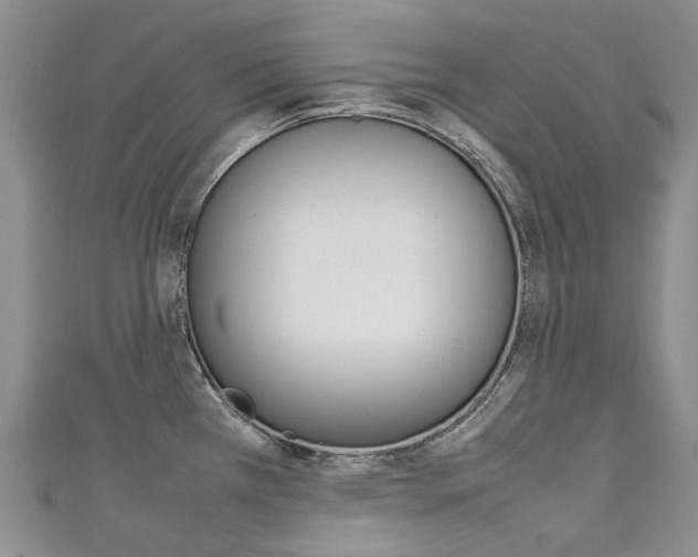 X0000111211385200907011042