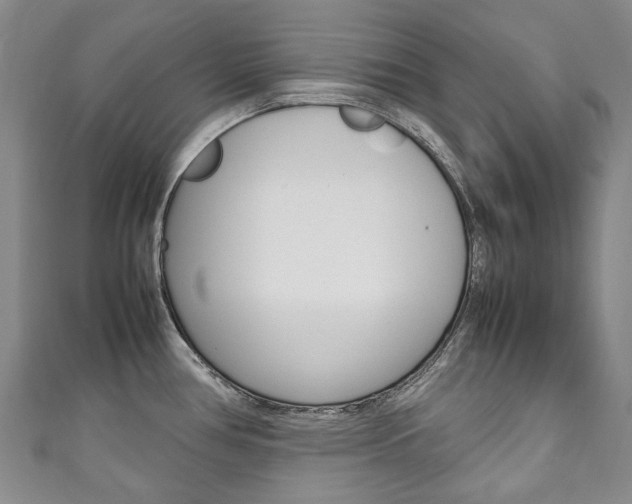 X0000111211386200907011042