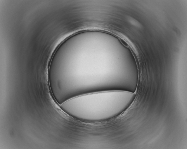 X0000111211388200907011042