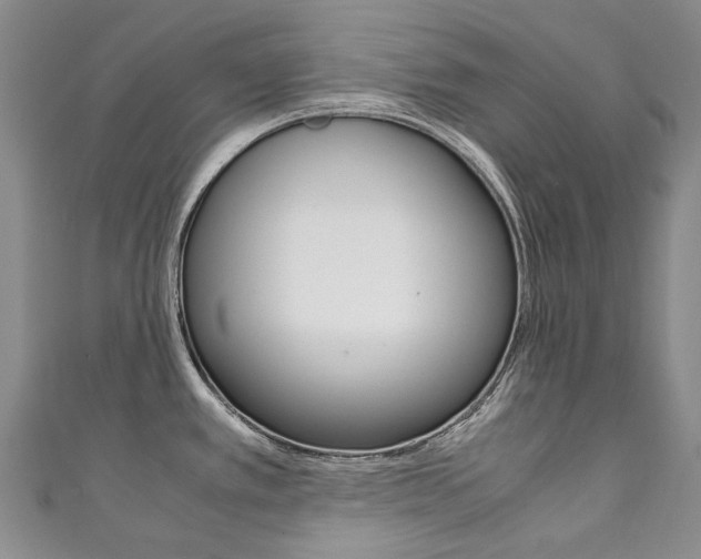 X0000111211389200907011042