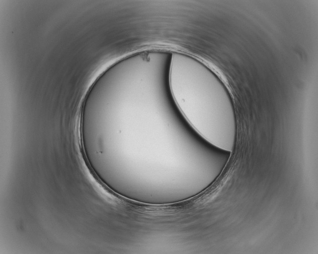 X0000111211391200907011042