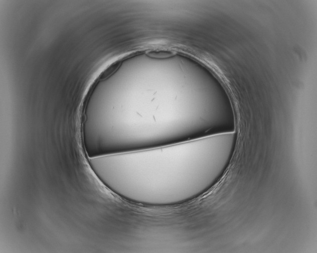X0000111211392200907011042