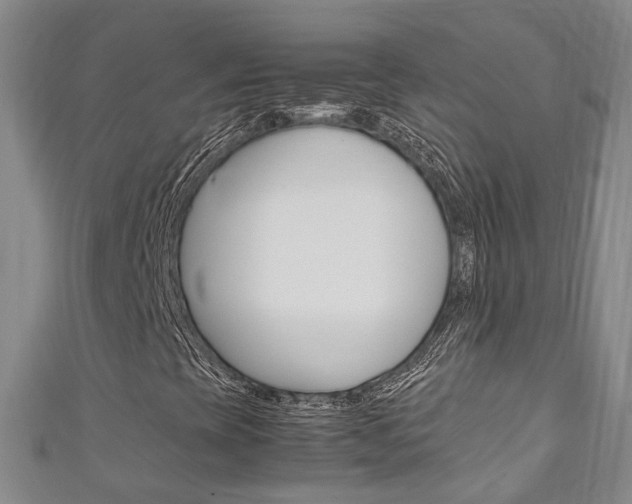 X0000111211393200907011041