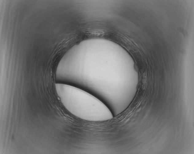 X0000111211394200907011041