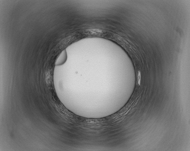 X0000111211395200907011041