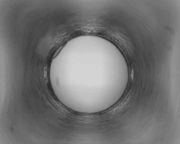 X0000111211396200907011041