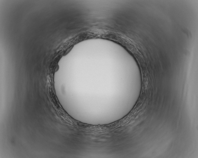 X0000111211397200907011041