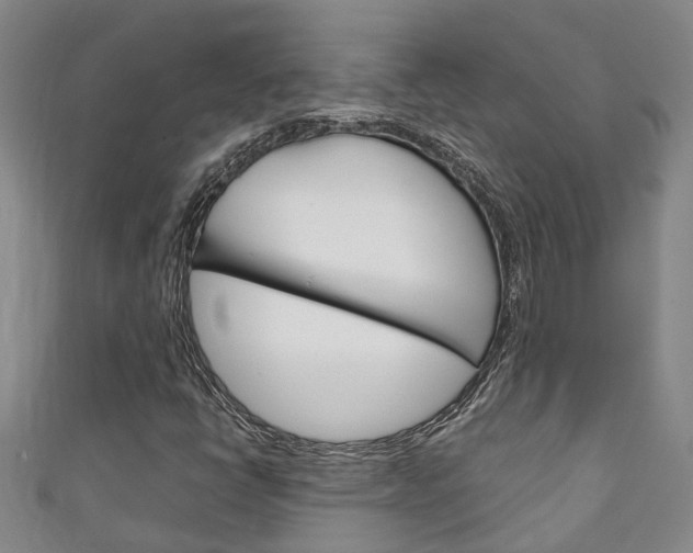 X0000111211398200907011041