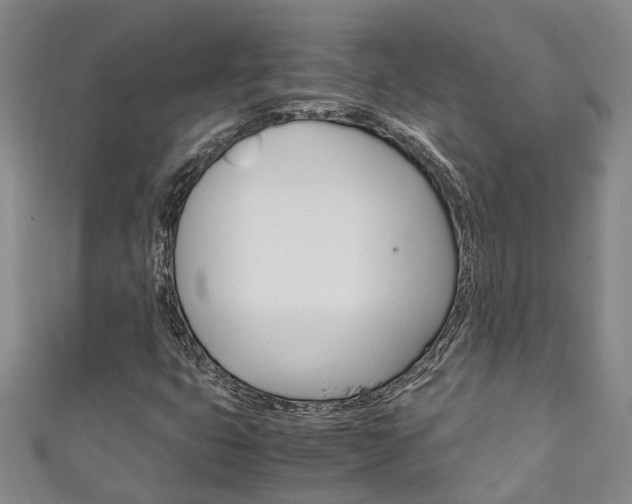 X0000111211399200907011041