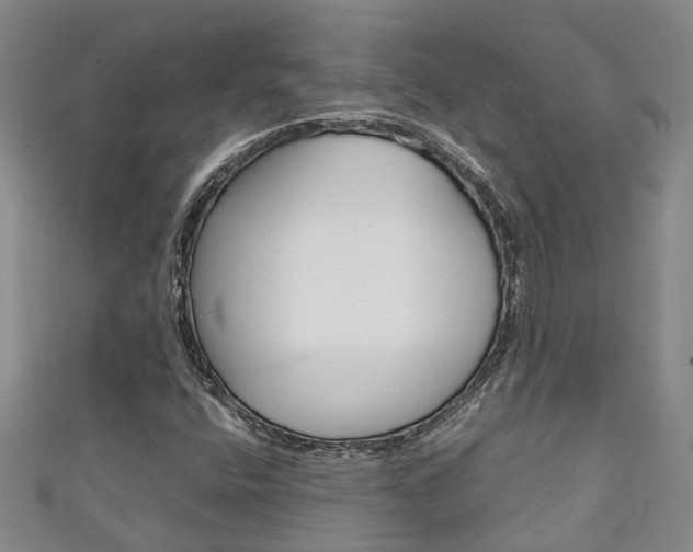 X0000111211400200907011041