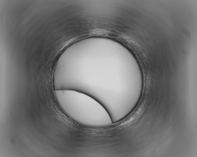 X0000111211401200907011041