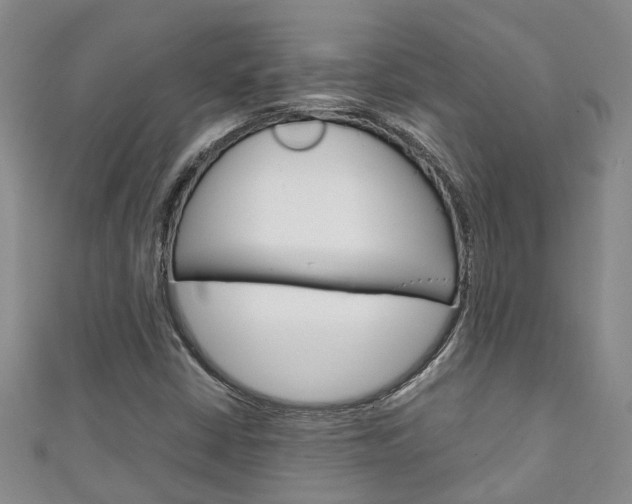 X0000111211402200907011041