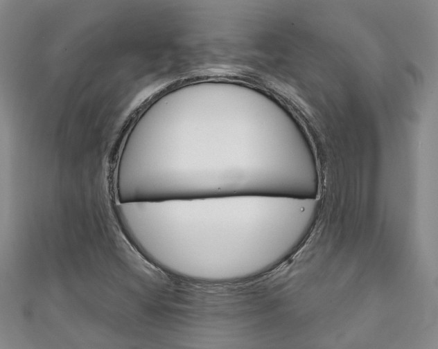 X0000111211404200907011041