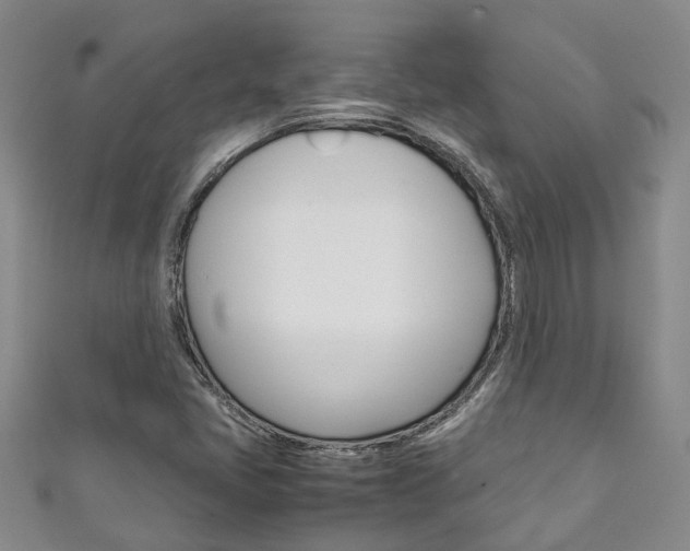 X0000111211405200907011041