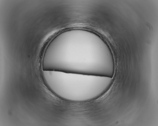 X0000111211406200907011041