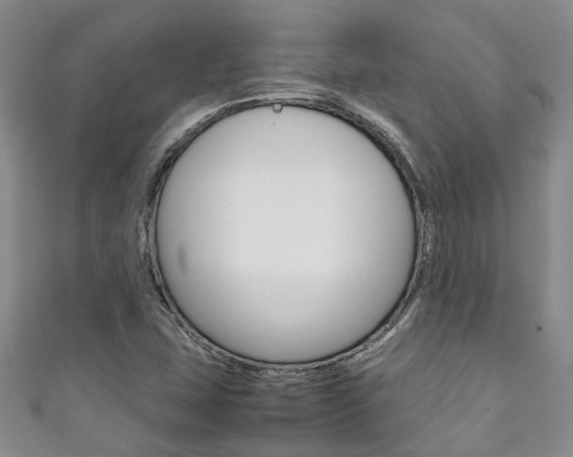 X0000111211407200907011041