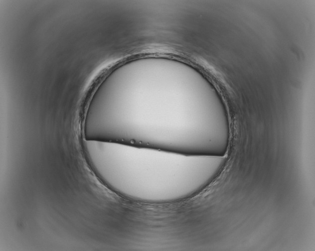 X0000111211408200907011041