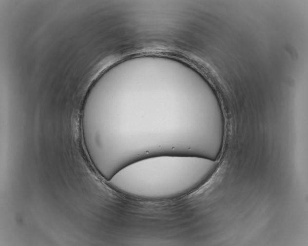 X0000111211409200907011041