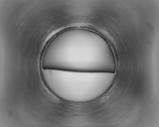 X0000111211412200907011041