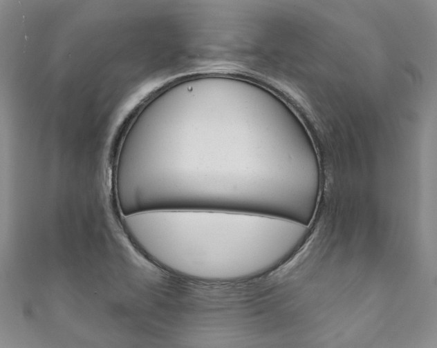 X0000111211414200907011041