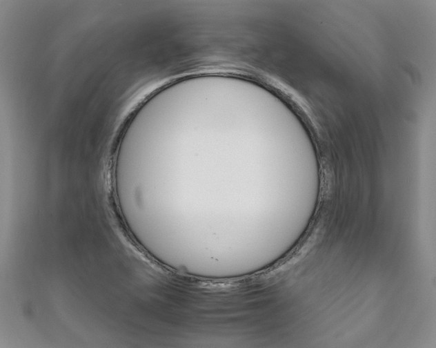X0000111211415200907011041