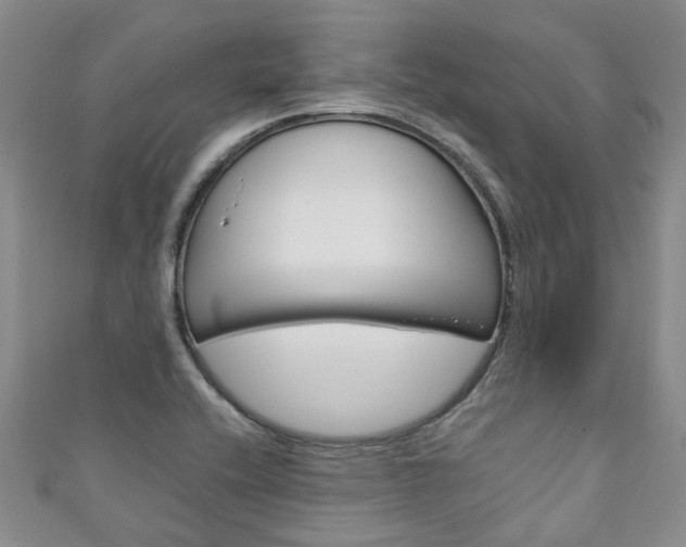 X0000111211416200907011041