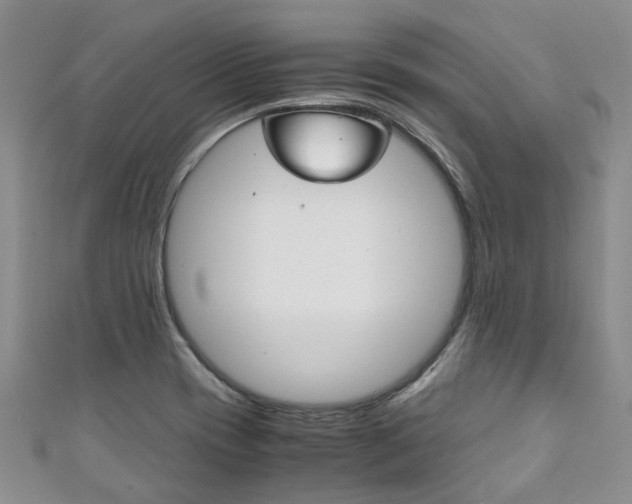 X0000111211417200907011041