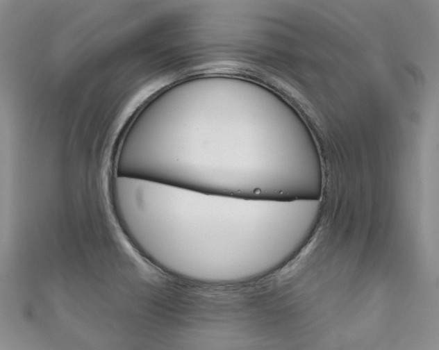 X0000111211418200907011041