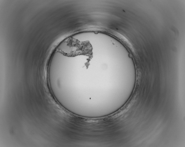 X0000111211419200907011041