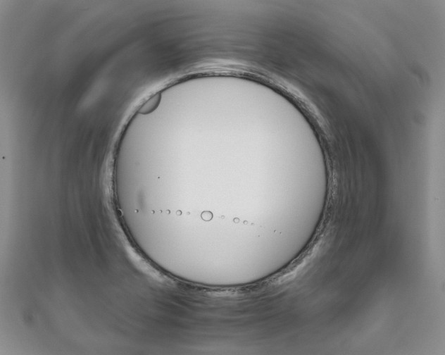 X0000111211421200907011041