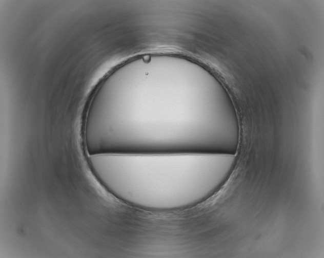 X0000111211422200907011041