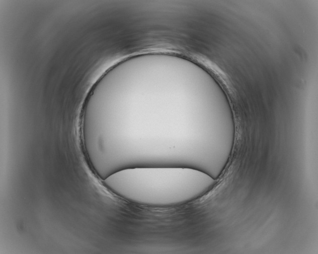 X0000111211423200907011041