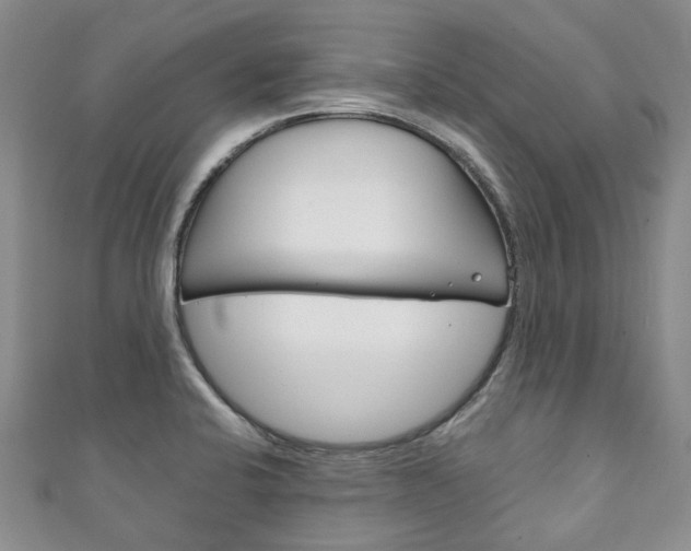 X0000111211424200907011041