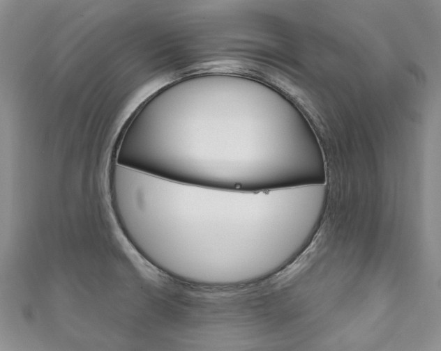 X0000111211426200907011041