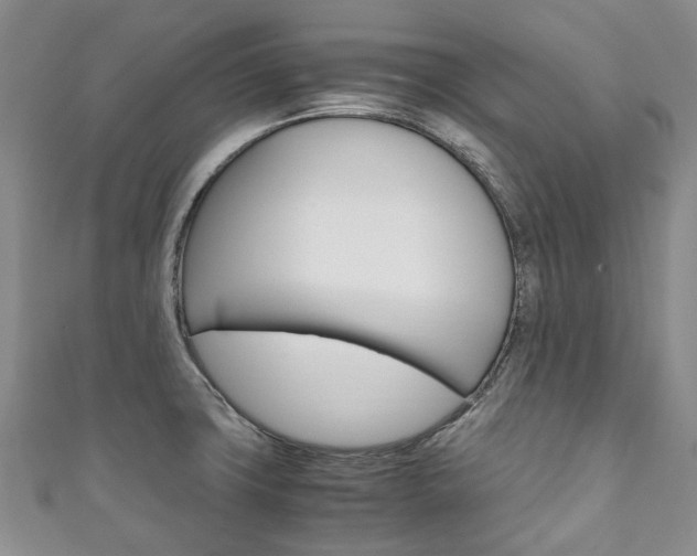 X0000111211427200907011041