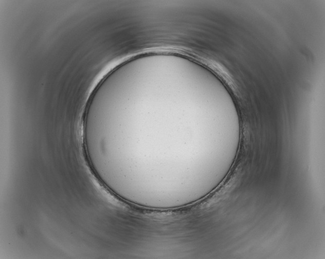 X0000111211428200907011041