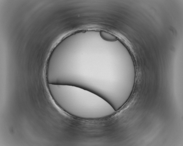 X0000111211429200907011041