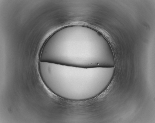 X0000111211430200907011041