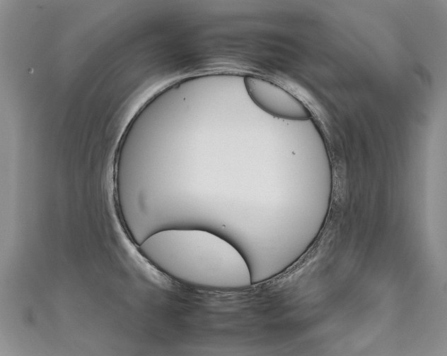 X0000111211431200907011041