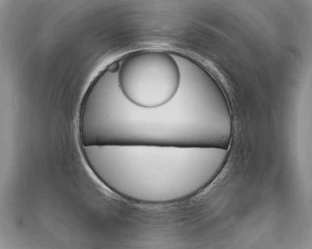 X0000111211432200907011041