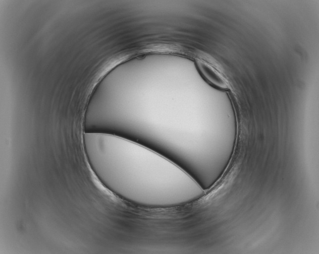 X0000111211433200907011041